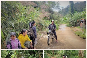 Gùi con chữ, gửi thanh xuân nơi núi rừng