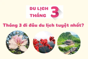 Tháng 3 đi đâu du lịch là tuyệt nhất?