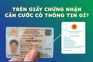 Trên giấy chứng nhận căn cước có thông tin gì?