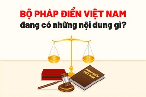 Bộ Pháp điển Việt Nam vừa công bố có những nội dung gì?