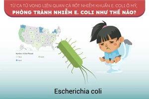 Từ ca tử vong liên quan cà rốt nhiễm khuẩn ở Mỹ, phòng tránh nhiễm E.Coli thế nào?