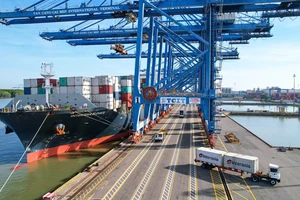 Bộ 3 hoàn hảo để TP.HCM có khu thương mại tự do tầm cỡ