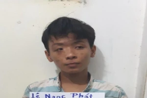 Băng trộm, cướp nhí ở Đồng Nai sa lưới