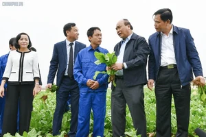 Thủ tướng 'xông đất' ngành nông nghiệp năm Kỷ Hợi