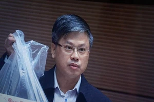 'Chính quyền chủ động phá rừng mới thật ghê gớm!'