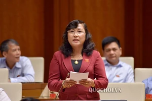 Sửa đổi Luật Đất đai: 'Chưa biết lùi đến bao giờ“