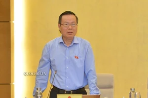 Rất phản cảm khi gọi người đẹp là 'chân dài'