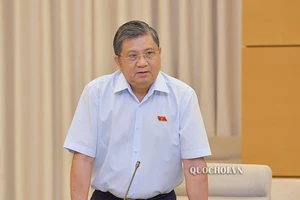 'Mức phạt môi giới nhập cảnh trái phép vào Việt Nam quá nhẹ'