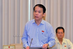 Chính quyền đô thị tại TP.HCM: Có thể không phải qua thí điểm