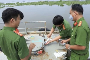 Nghiêm trị cán bộ 'bảo kê', bao che cho hoạt động phạm tội kinh tế, buôn lậu