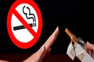 Quỹ Phòng, chống tác hại thuốc lá tồn dư lớn, chi không đạt yêu cầu