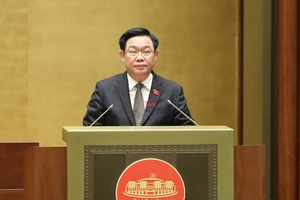 Quốc hội yêu cầu khắc phục kịp thời và căn cơ tình trạng thiếu điện