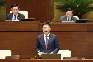Đại biểu Quốc hội tiếp tục chất vấn về vụ gỗ trắc ở Quảng Trị