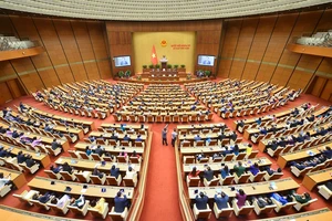 Người sử dụng đất không có giấy tờ trước 1-7-2014 có thể được cấp sổ đỏ