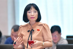 Nhiều đại biểu Quốc hội không ủng hộ việc đổi tên tòa án