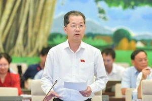 Đề xuất Đà Nẵng thí điểm thành lập Khu thương mại tự do gắn với Cảng biển Liên Chiểu