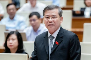 Đại biểu Quốc hội tiếp tục chất vấn về kỳ án gỗ trắc ở Quảng Trị