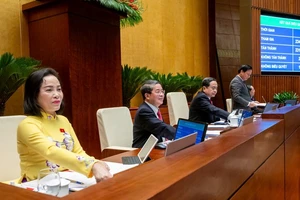 Quận của Hải Phòng có tối đa không quá 3 phó chủ tịch