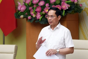 Phó Thủ tướng: ‘Vụ sữa giả bao năm tồn tại công khai là sơ hở của chúng ta’