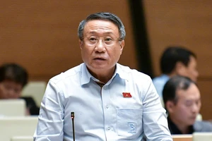 Đại biểu Quốc hội: 'Khẩn cấp mà phải trình, họp, xin thì coi như xong rồi'