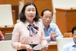 Đại biểu Quốc hội nói về việc giám định trong vụ án Vạn Thịnh Phát