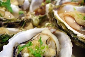 Ngộ độc cấp vì ăn hàu sống