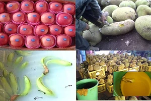 Nhúng trái cây vào hóa chất có thể bị phạt nặng