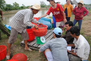 “Cưỡng bức” cầu dao vì thiếu điện
