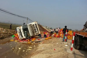 Xe chở cá lật, người dân giúp thu gom