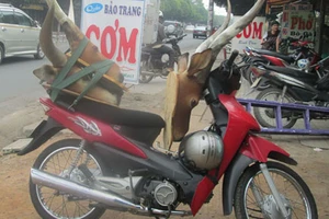 Chợ động vật hoang dã trên phố