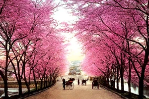 Phan Bội Châu và những cái Tết “ăn mày”