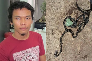 Bạn cùng phòng bác lời khai của hung thủ