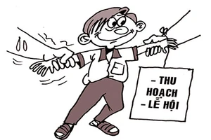 Nghỉ học không đợi hè