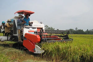 Thái Lan không thể bán tháo gạo 