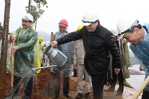 Trồng rừng bảo vệ môi trường thủy điện mới đạt 13%