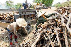 Mót củi ở Sài Gòn