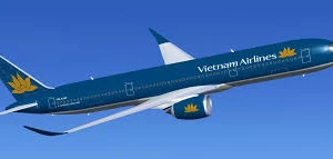 Tiếp viên Vietnam Airlines bị bắt tại Nhật Bản