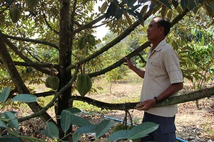 Địa phương cấp đất sai, dân chịu khổ