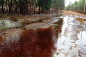 Cồn Tùng Lâm lại xả thải ra môi trường