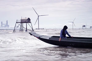 Điện ảnh thất thế ngay trên sân nhà