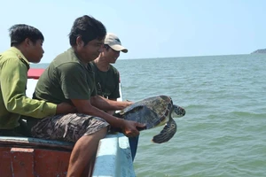 Thả nhiều động vật quý hiếm về môi trường tự nhiên