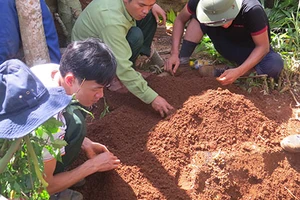 Truy điệu và an táng 32 hài cốt liệt sĩ hy sinh tại Lào 