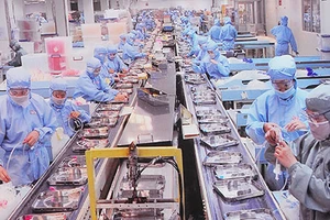 DN chế xuất ngại lập chi nhánh