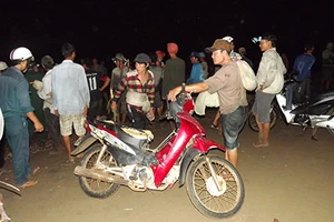 Hàng trăm người đi trộm nghêu