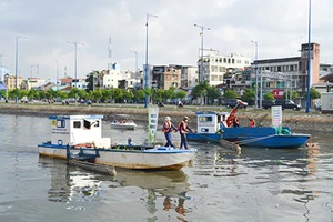 Tuần lễ sôi động với bốn sự kiện chính