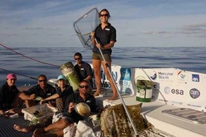 Những “đảo rác” trên đại dương