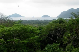 Du khách bị “cấm” lặn biển ở Côn Đảo