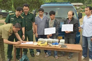 Chặt đứt đường dây ma túy lớn từ Lào vào Nghệ An