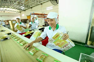 Trồng mía nhiều nhưng giá đường cao ngất