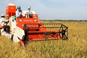 “Đại gia” gạo tìm cách thoát nợ